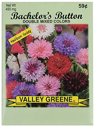 Set of 100 Assorted Valley Green Flower Seed Packets! Flower Seeds in Bulk - 20+